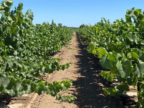21794 N Davis Rd, Lodi, CA 95242 photo 10