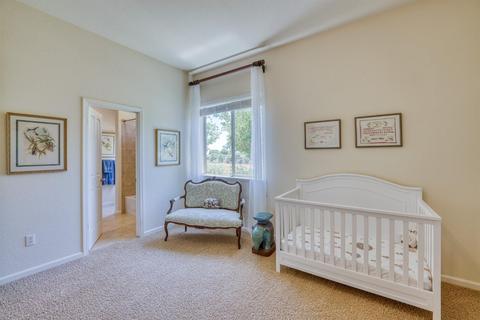 9841 Trailhead Ct, Wilton, CA 95693 photo 49