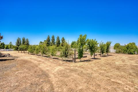 9841 Trailhead Ct, Wilton, CA 95693 photo 80