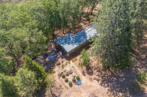 130 Snead Rd, West Point, CA 95255 photo 85