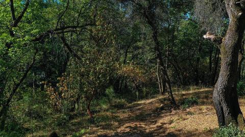 2719 Glenview Dr, Placerville, CA 95667 photo 10