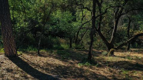 2719 Glenview Dr, Placerville, CA 95667 photo 9