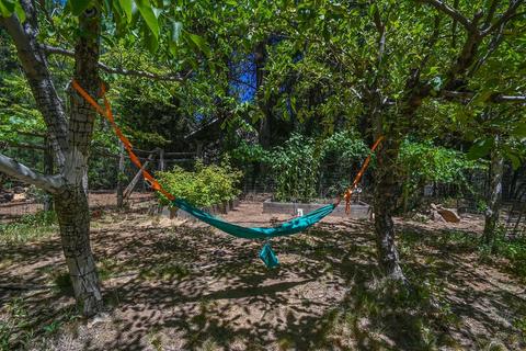 6612 Log Cabin Ln, Placerville, CA 95667 photo 44
