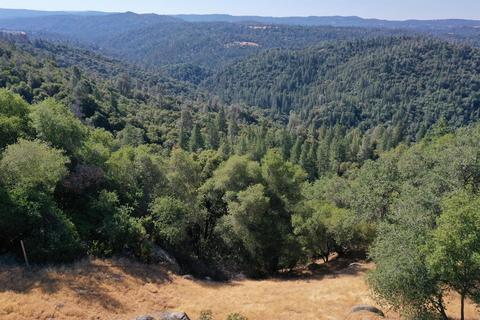 3710 Springer Rd, Placerville, CA 95667 photo 10