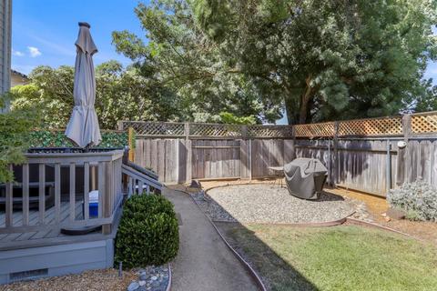 242 Rainier Dr, Lodi, CA 95242 photo 50