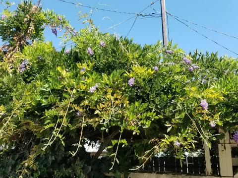 164 West Ave, Gustine, CA 95322 photo 44