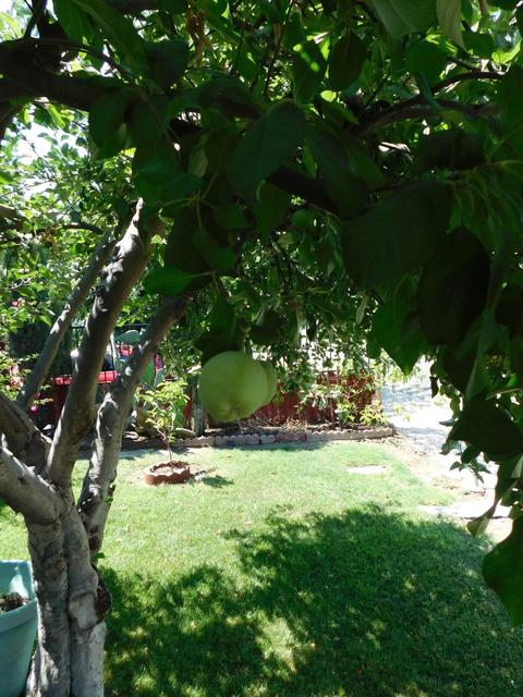 826 Latimer Ave, Modesto, CA 95351 photo 12