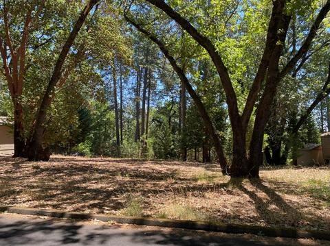5937 Silverleaf Dr, Foresthill, CA 95631 photo 1