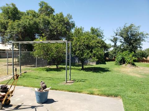 427 E Harney Ln, Lodi, CA 95242 photo 20