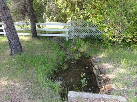 18159 Lasso Loop, Penn Valley, CA 95946 photo 5