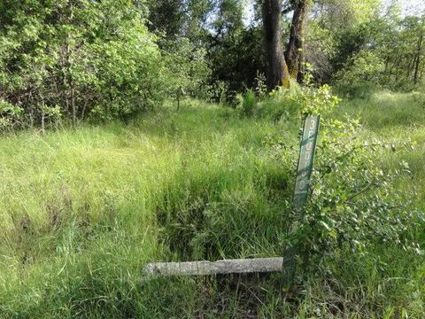 18159 Lasso Loop, Penn Valley, CA 95946 photo 4