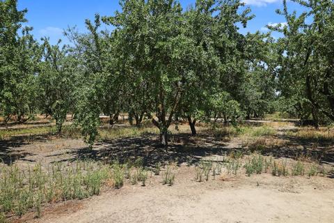 400 Weyer Rd, Modesto, CA 95357 photo 56