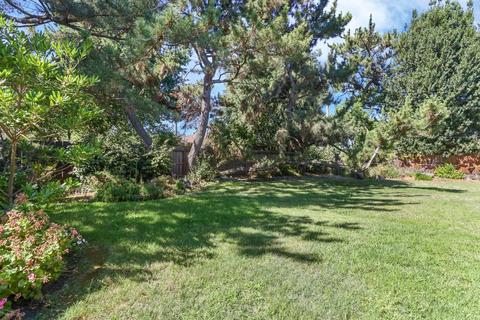 550 Willow Glen Dr, Lodi, CA 95240 photo 25