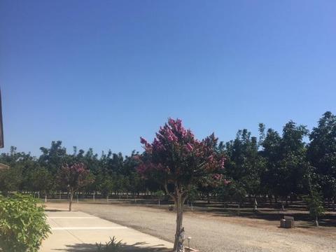 5888 E Harney Ln, Lodi, CA 95240 photo 11