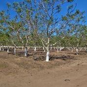 5888 E Harney Ln, Lodi, CA 95240 photo 12