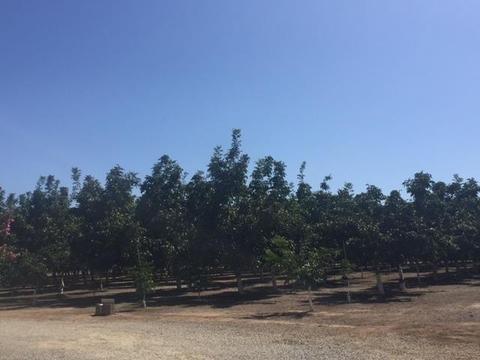5888 E Harney Ln, Lodi, CA 95240 photo 10