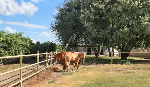 14501 N Wells Ln, Lodi, CA 95240 photo 20