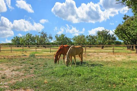 14501 N Wells Ln, Lodi, CA 95240 photo 22