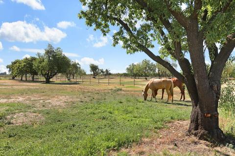 14501 N Wells Ln, Lodi, CA 95240 photo 21