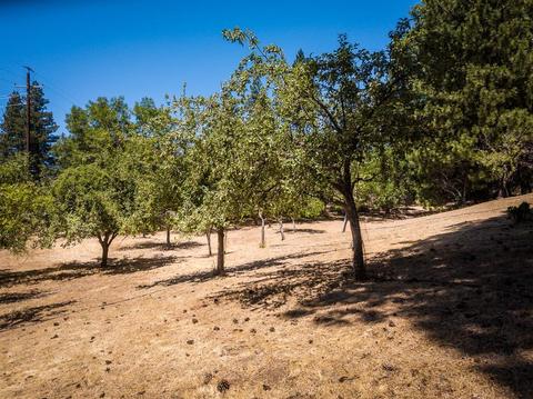 3028 Ridge Rd, Glencoe, CA 95232 photo 83