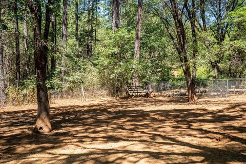 3028 Ridge Rd, Glencoe, CA 95232 photo 68