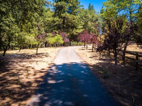 3028 Ridge Rd, Glencoe, CA 95232 photo 82