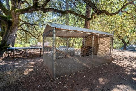 3028 Ridge Rd, Glencoe, CA 95232 photo 58