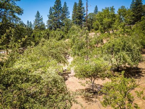 3028 Ridge Rd, Glencoe, CA 95232 photo 93