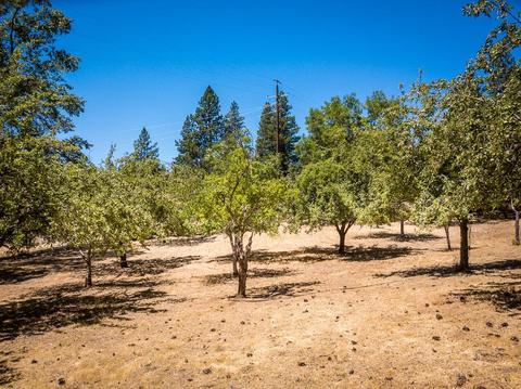 3028 Ridge Rd, Glencoe, CA 95232 photo 94