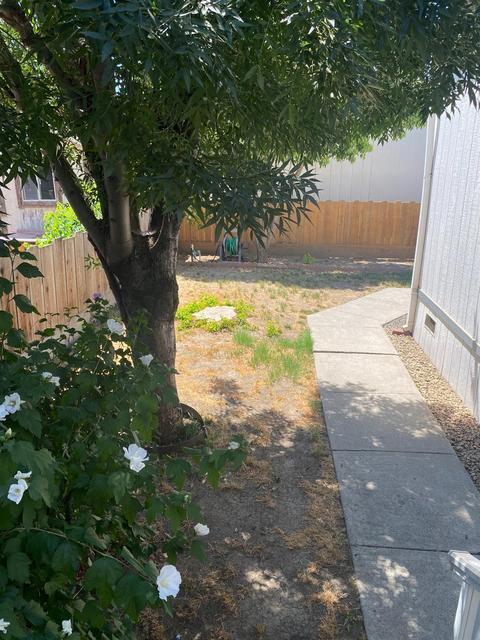 50 Clipper Ln, Modesto, CA 95356 photo 10