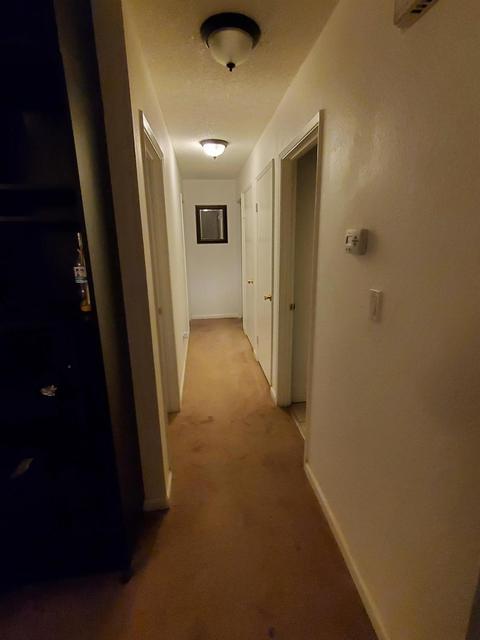 762 Milestone Dr, Lathrop, CA 95330 photo 5