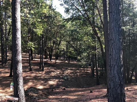 6333 Pine Needle Ln, Placerville, CA 95667 photo 52
