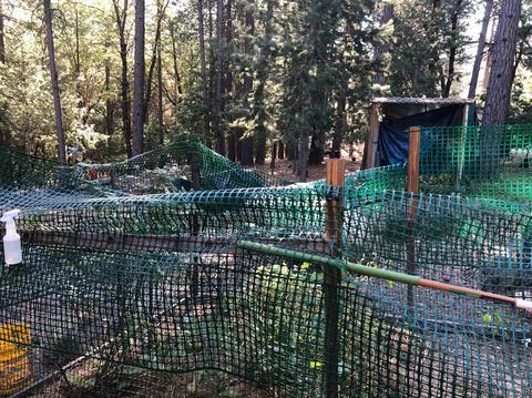6333 Pine Needle Ln, Placerville, CA 95667 photo 49