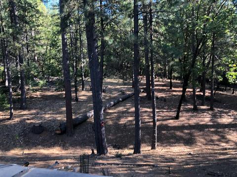 6333 Pine Needle Ln, Placerville, CA 95667 photo 47