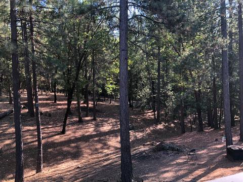 6333 Pine Needle Ln, Placerville, CA 95667 photo 46