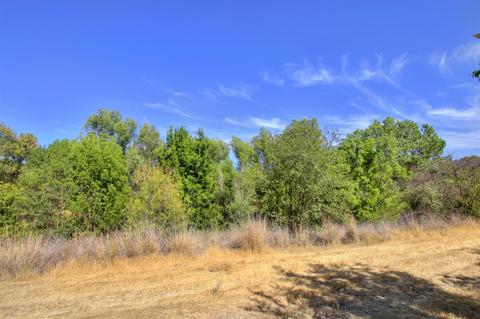 1412 Garrison St, Davis, CA 95616 photo 38