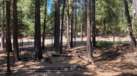 20481 E Pine Dr, Pioneer, CA 95666 photo 5