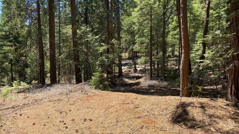 20481 E Pine Dr, Pioneer, CA 95666 photo 6