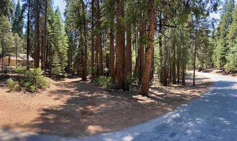 20481 E Pine Dr, Pioneer, CA 95666 photo 3