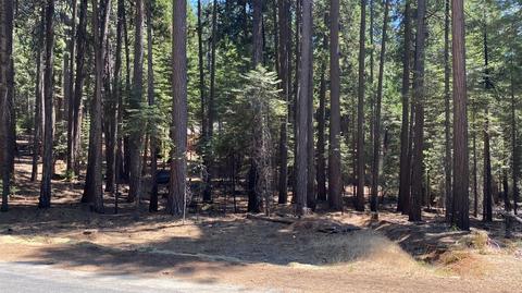 20481 E Pine Dr, Pioneer, CA 95666 photo 9