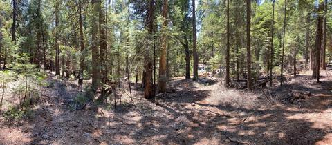 20481 E Pine Dr, Pioneer, CA 95666 photo 8