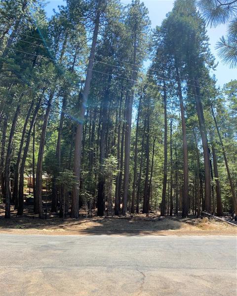 20481 E Pine Dr, Pioneer, CA 95666 photo 11