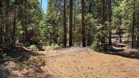 20481 E Pine Dr, Pioneer, CA 95666 photo 7
