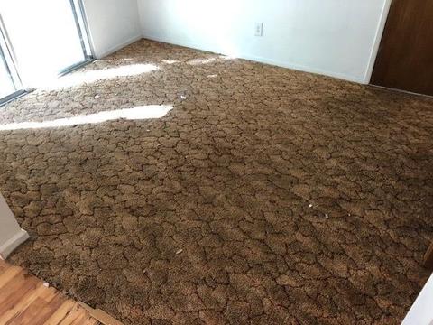 22156 Feather River Dr, Sonora, CA 95370 photo 17