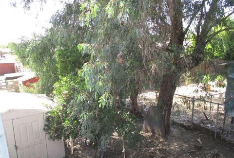 1631 Lynn Ave, Modesto, CA 95358 photo 35