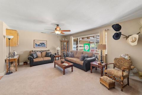 199 Artesia Rd, Elverta, CA 95626 photo 19