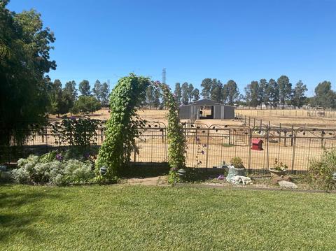 199 Artesia Rd, Elverta, CA 95626 photo 15