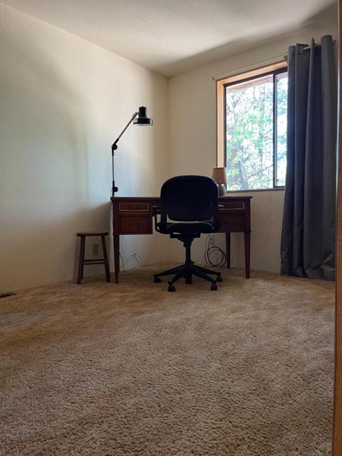 515 Trail Ridge Ln, Colfax, CA 95713 photo 17