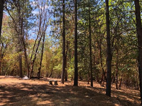 3645 Stope Dr, Placerville, CA 95667 photo 33