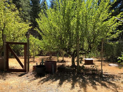 3645 Stope Dr, Placerville, CA 95667 photo 35